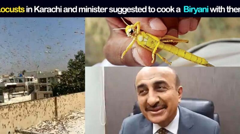 locust attack in Karachi