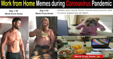 work from home memes