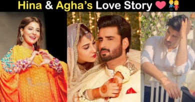 hina altaf and agha ali love story