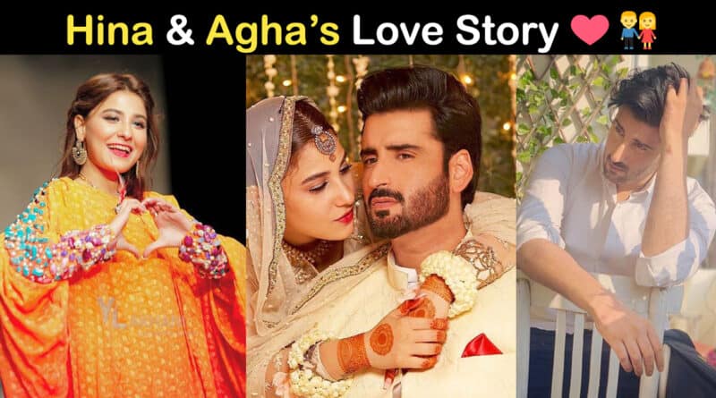 hina altaf and agha ali love story
