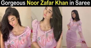 noor khan in saree