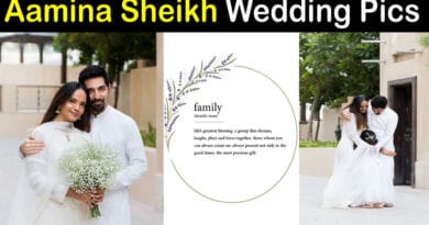 Aamina Sheikh Second Husband