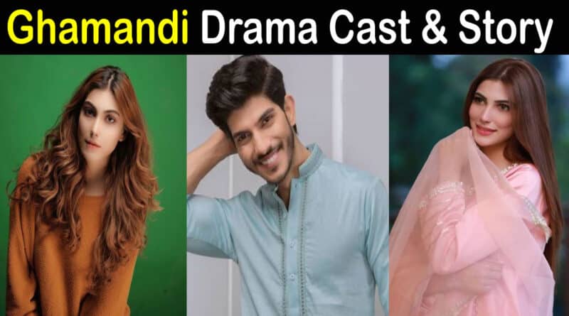 Ghammandi Drama Cast