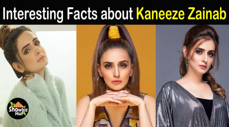 Kaneeze Zainab biography