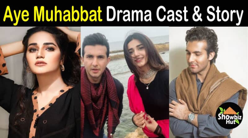 Aye Muhabbat Drama Cast