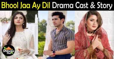 Bhool Jaa Ay Dil Drama Cast