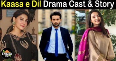Kasa e Dil Drama Cast