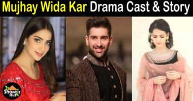 Mujhe Wida Kar Drama Cast