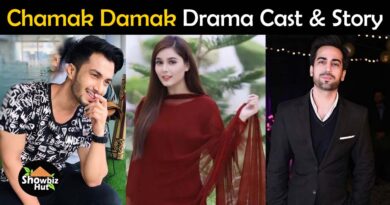 chamak damak hum tv drama cast