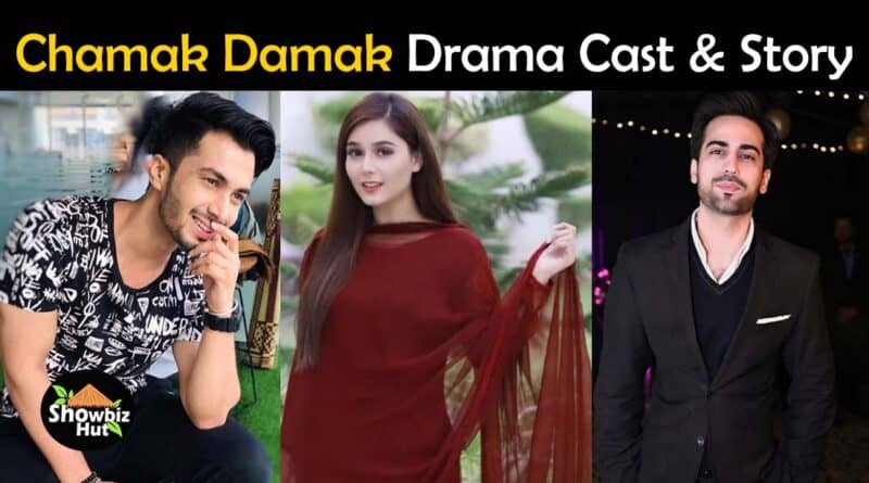 chamak damak hum tv drama cast