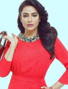 Ayesha Gul Biography, Age, Education, Husband, Dramas | Showbiz Hut