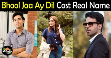 Bhool Jaa Ay Dil Drama Cast Name
