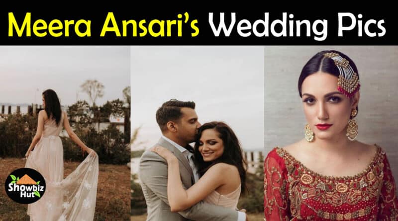 Meera Ansari wedding pics