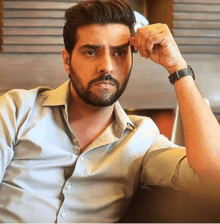 Furqan Qureshi Biography, Age, Family, Wife, Drama List | Showbiz Hut