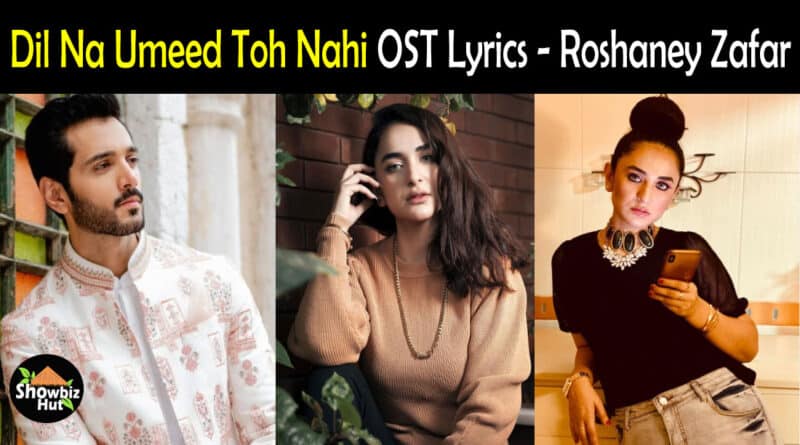 Dil Na Umeed Toh Nahi OST Lyrics