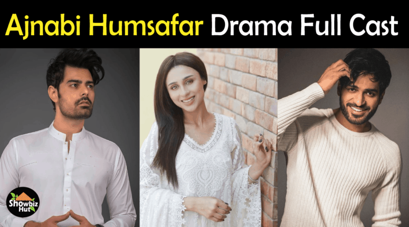 Ajnabi Humsafar Drama Cast