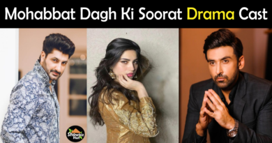 Mohabbat Dagh Ki Soorat Drama Cast