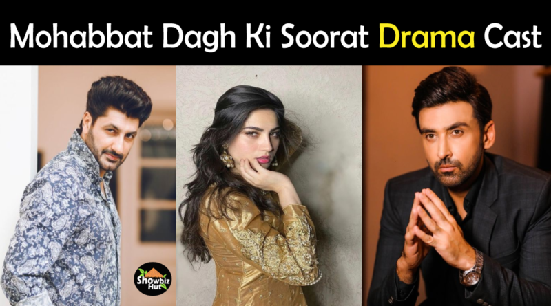 Mohabbat Dagh Ki Soorat Drama Cast