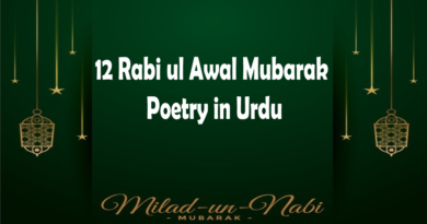 12 Rabi ul Awal Poetry in Urdu