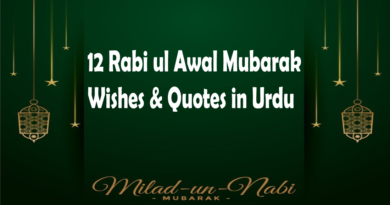 12 rabi ul awal quotes in Urdu