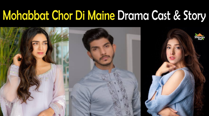 Mohabbat Chor Di Maine drama cast