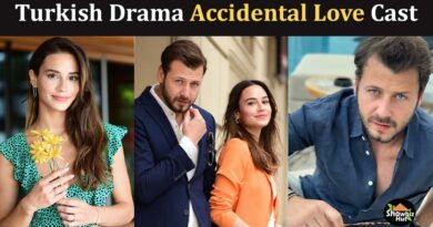 accidental love turkish drama cast