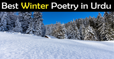 Winter Poetry In Urdu