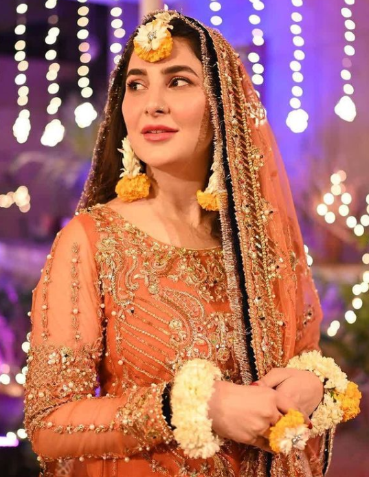 Areeba Habib drama list 