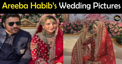 Areeba Habib Wedding Pics