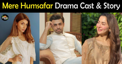 Mere Humsafar drama cast