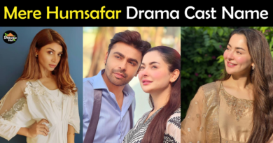 Mere Humsafar drama cast name