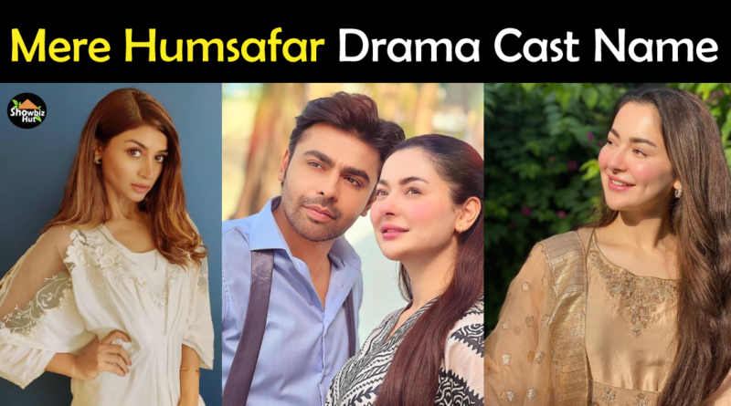 Mere Humsafar drama cast name