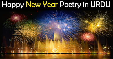 New Year Poetry in Urdu 2022