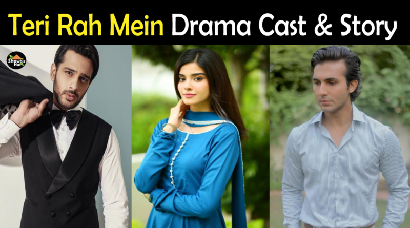 teri rah mein drama cast