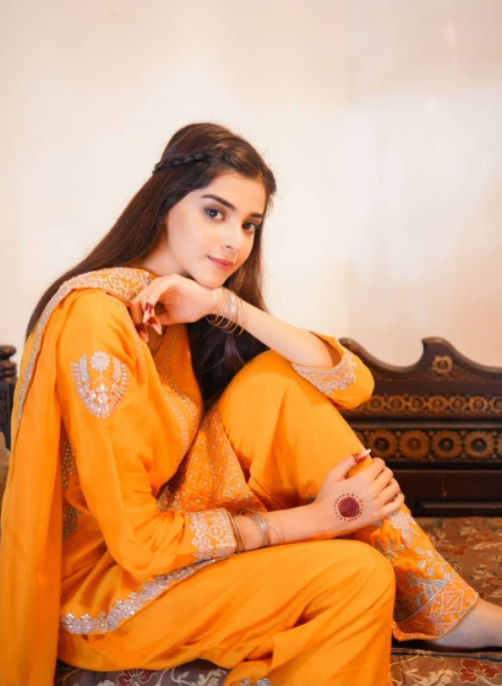 Zainab Shabbir drama list 