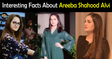 Areeba shahood Alvi Biography