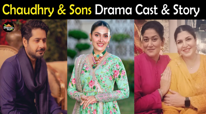 Chaudhry and Sons drama cast
