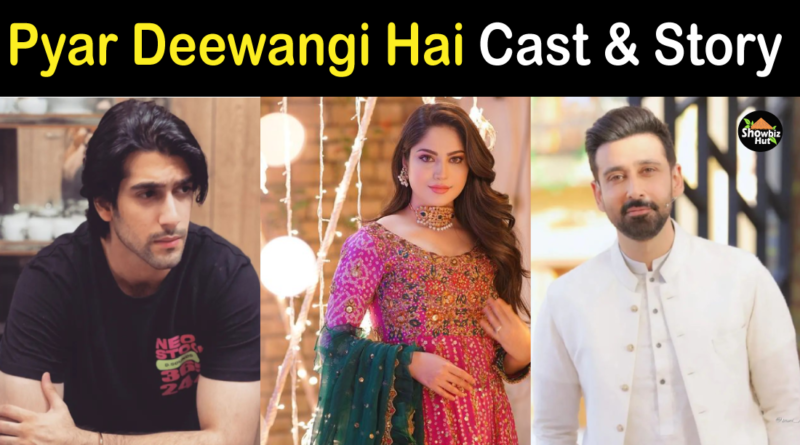 Pyar Deewangi Hai Drama Cast