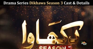 dikhawa season 3 drama cast name