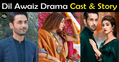 Dil Awaiz drama cast
