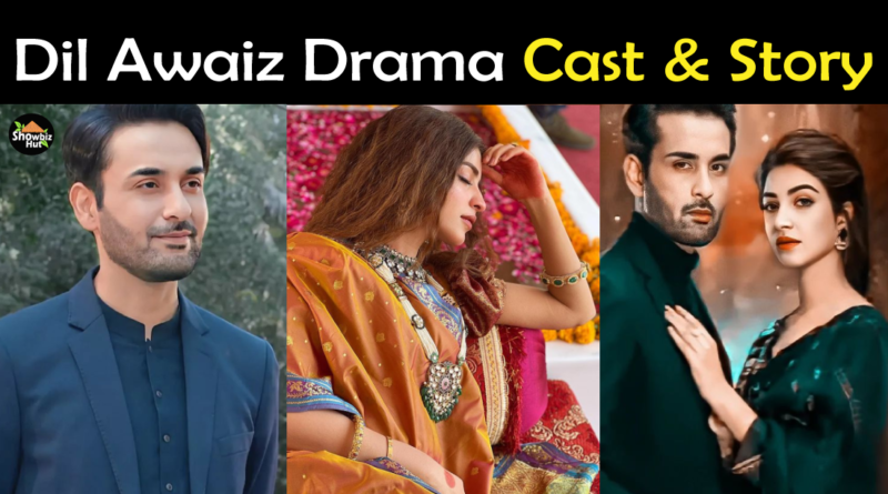Dil Awaiz drama cast