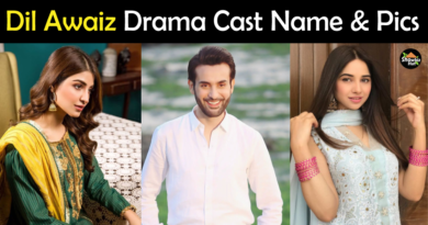 Dil Awaiz 2022 Drama Cast name