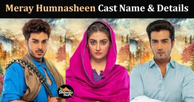 meray humnasheen drama cast real name pictures