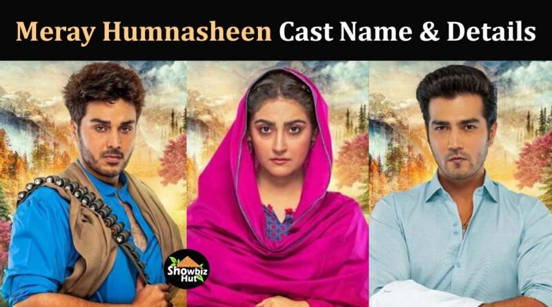 meray humnasheen drama cast real name pictures