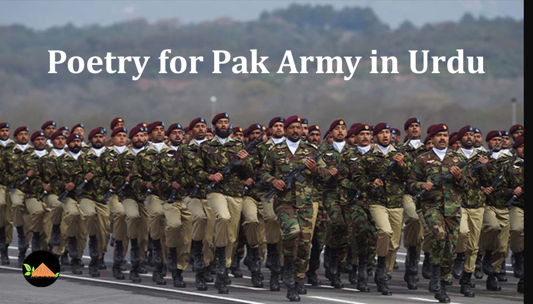 essay army in urdu