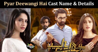 pyar deewangi hai drama cast real name pictures