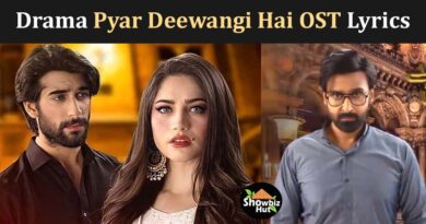 pyar deewangi hai drama ost lyrics in urdu song