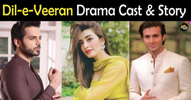 Dil e Veeran Drama Cast