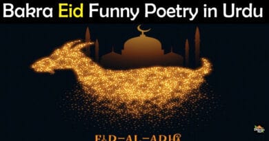 Bakra Eid Funny Poetry in Urdu