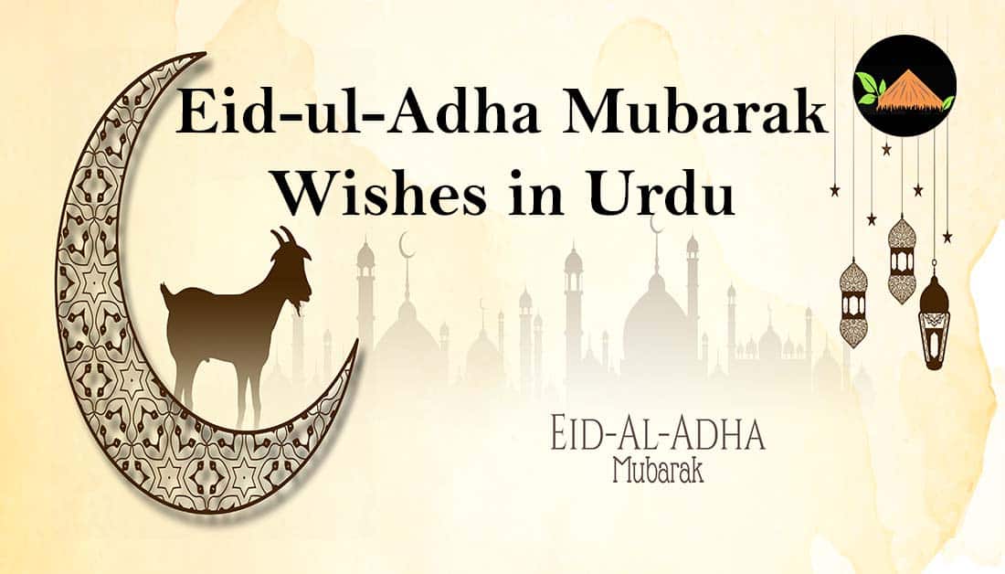 Eid Mubarak Wishes For Lover In Urdu